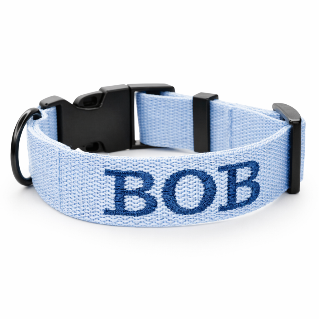Hundehalsband mit Namen, 2,5cm breit
