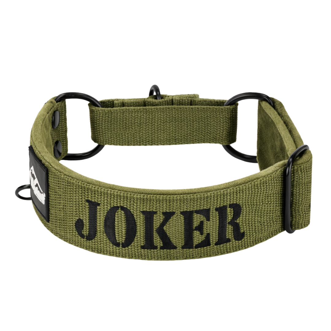 Martingale-Halsband mit Namen