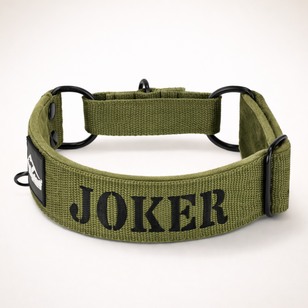 Martingale-Halsband mit Namen