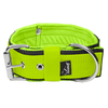 Grip Lime - Breites gepolstertes Halsband mit Handgriff