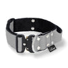 Extreme Buckle Grey - Robustes und sicheres Halsband