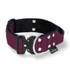 Extreme Buckle Plum - Robustes und sicheres Halsband