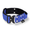 Extreme Buckle Blue - Robustes und sicheres Halsband