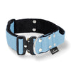 Extreme Buckle Baby Blue - Robustes und sicheres Halsband