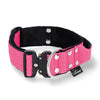 Extreme Buckle Pink - Robustes und sicheres Halsband