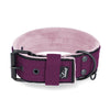 Active Comfort Black Edition Plum - Breites, strapazierfähiges Halsband mit Schnalle