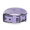 Active Comfort Black Edition Baby Purple - Breites, strapazierfähiges Halsband mit Schnalle