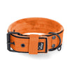Active Comfort Black Edition Orange - Breites, strapazierfähiges Halsband mit Schnalle