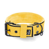 Active Comfort Black Edition Yellow -Breites, strapazierfähiges Halsband mit Schnalle