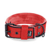 Active Comfort Black Edition Red - Breites, strapazierfähiges Halsband mit Schnalle