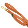 Guard Leash Golden Edition Burnt Orange - Leine mit Extragriff
