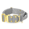 Extreme Gold Buckle Grey - Robustes und sicheres Halsband