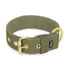 Active Golden Khaki -  Breites, strapazierfähiges Halsband mit Schnalle