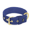 Active Golden Navy Blue -  Breites, strapazierfähiges Halsband mit Schnalle