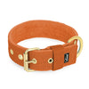 Active Golden Burnt Orange - Breite, robuste Halsband mit Schnalle
