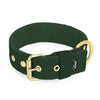 Active Golden Forest Green -  Breites, strapazierfähiges Halsband mit Schnalle