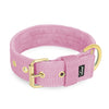 Active Golden Candy Pink - Breites, strapazierfähiges Halsband mit Schnalle