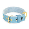 Active Golden Baby Blue - Breites, strapazierfähiges Halsband mit Schnalle