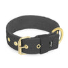 Active Golden Dark Grey - Breites, strapazierfähiges Halsband mit Schnalle