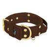 Grip Golden Dark Brown - Breites gepolstertes Halsband mit Handgriff