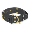 Grip Golden Dark Grey - Breites gepolstertes Halsband mit Handgriff