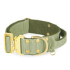 Extreme Gold Buckle Olivgrün - Robustes und sicheres Halsband