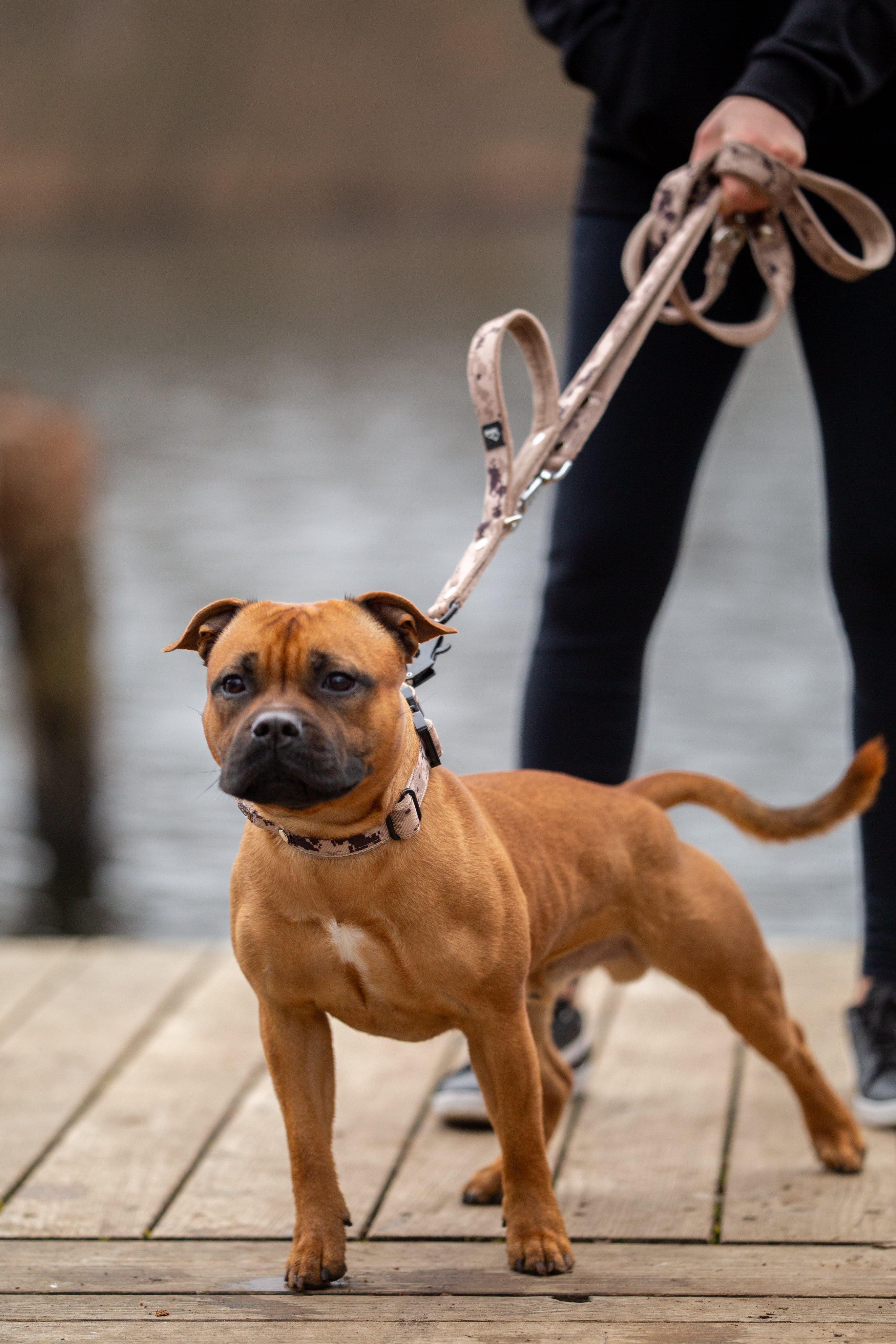 SALE Extreme Buckle Camo Beige, 4cm/M, No Handle, Minky Beige