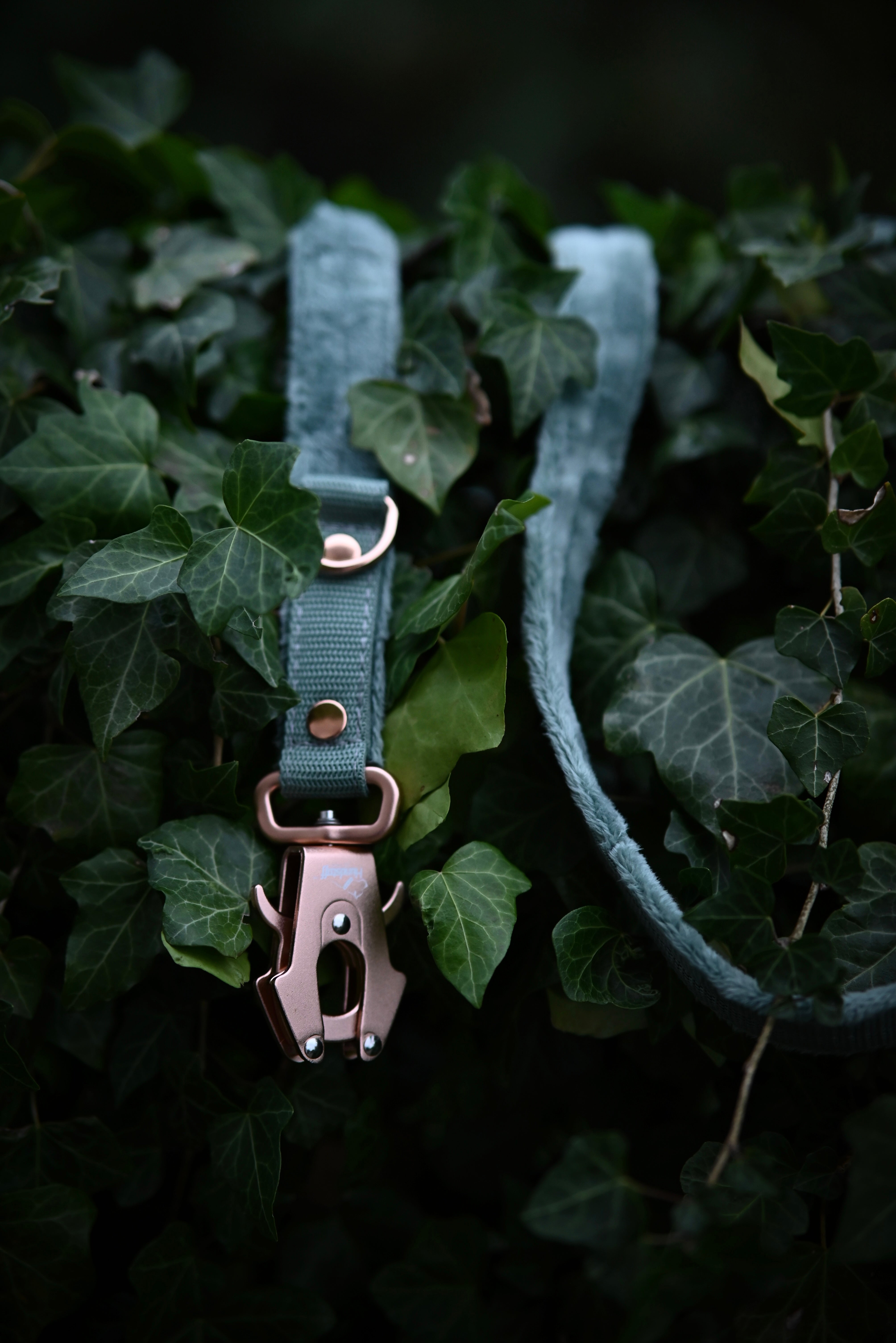 Walk Leash Rose Edition Pastellgrün - Sichere Nylonleine in verschiedenen Längen