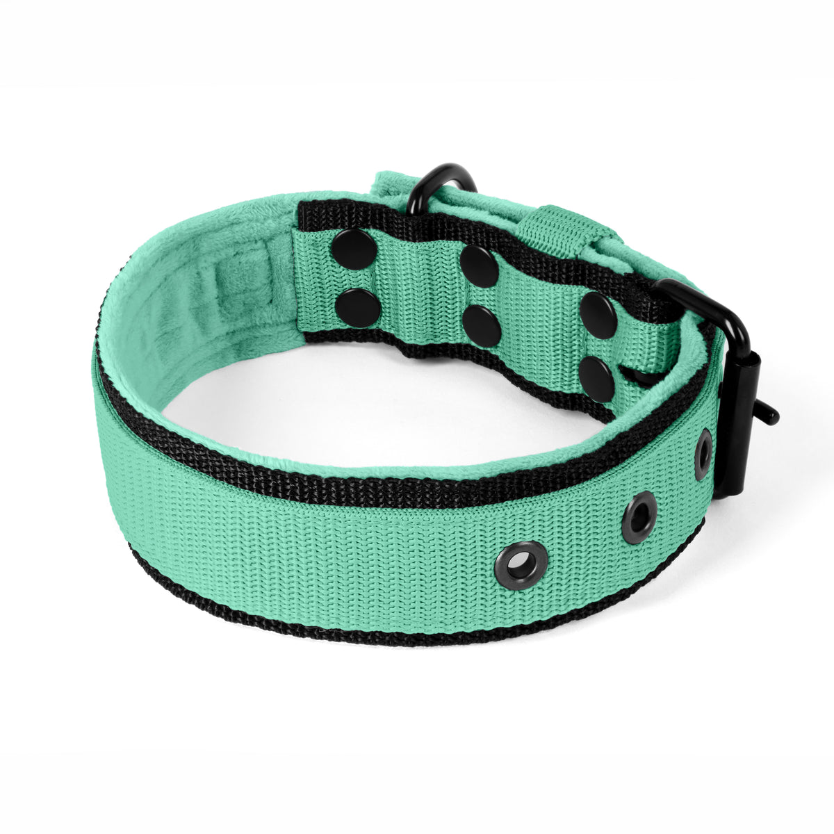 Active Black Edition Mint