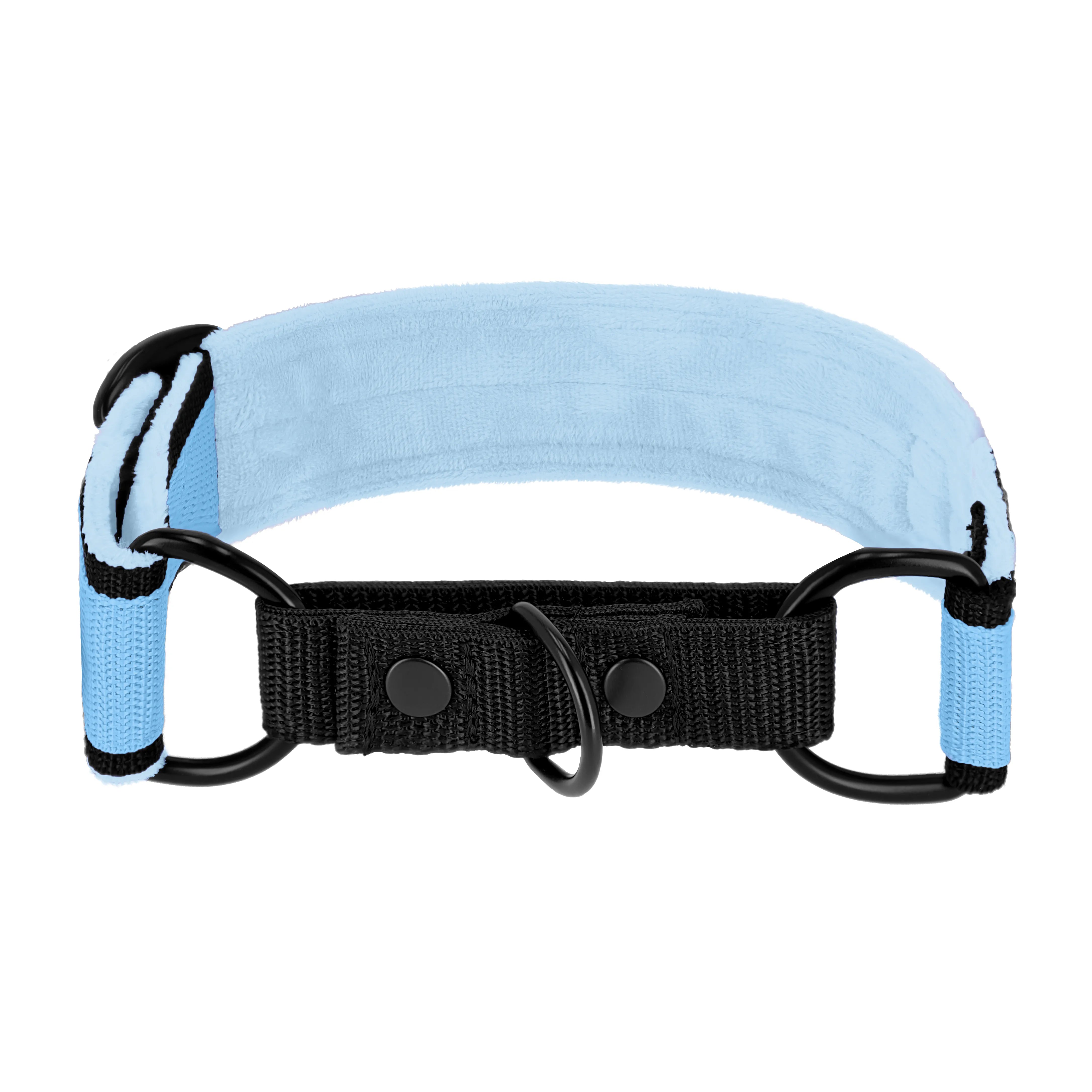 Martingale Black Edition Baby Blue - Breites, gefüttertes Halsband mit halbem Würgegriff