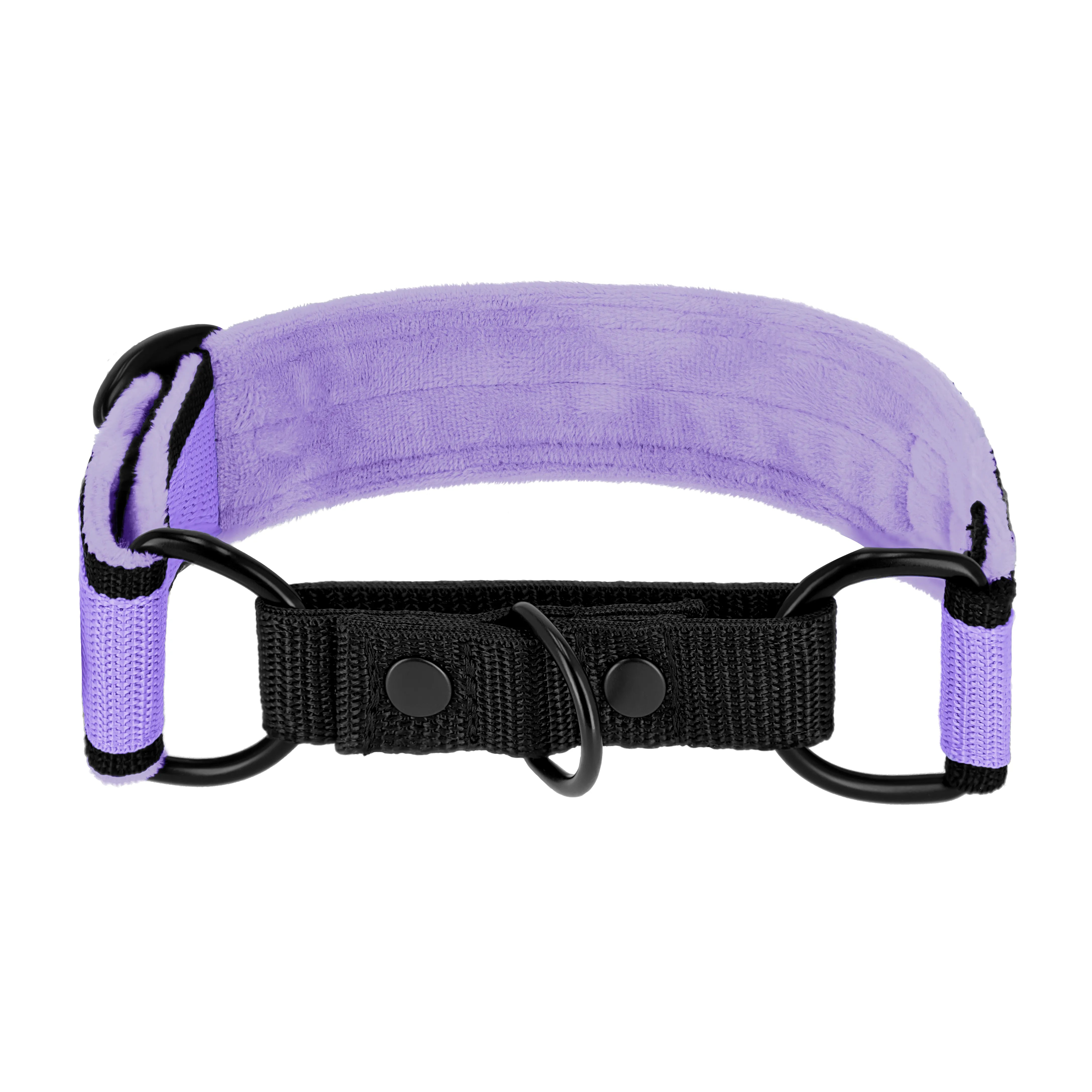 Martingale Black Edition Baby Purple - Breites, gefüttertes Halsband mit halbem Würgegriff