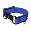 Martingale Black Edition Blau - Breites, gefüttertes Halsband mit halber Würgefunktion