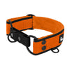 Martingale Black Edition Orange - Breites, gefüttertes Halsband mit halber Würgefunktion