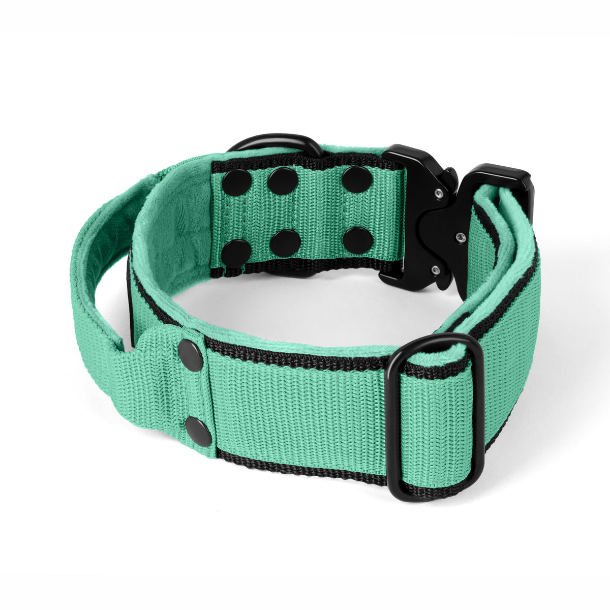 Extreme Buckle Black Edition Mint