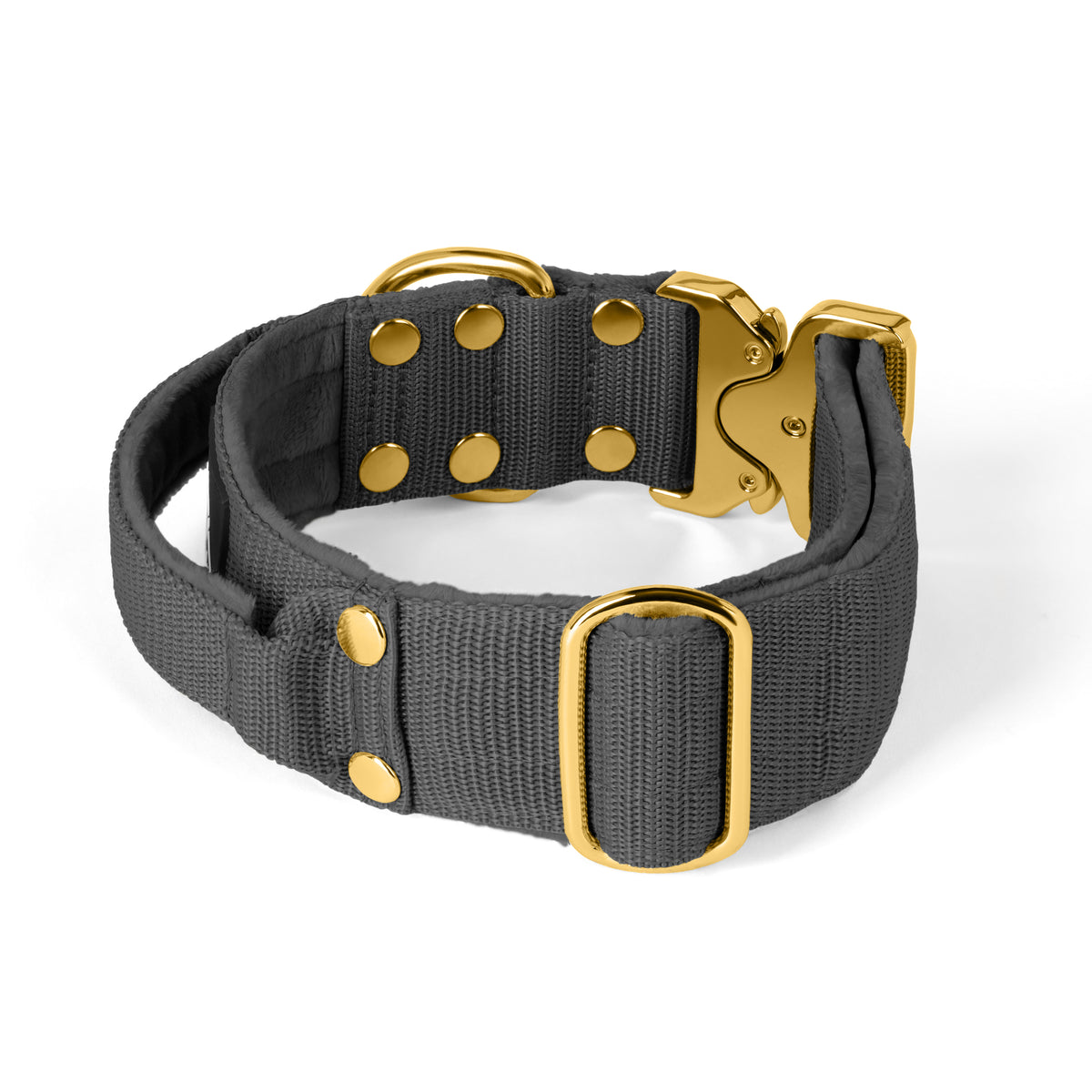 Extreme Buckle Gold Edition Dark Grey