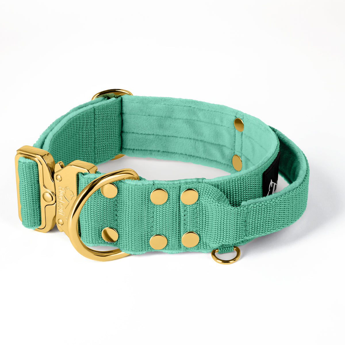 Extreme Buckle Gold Edition Mint