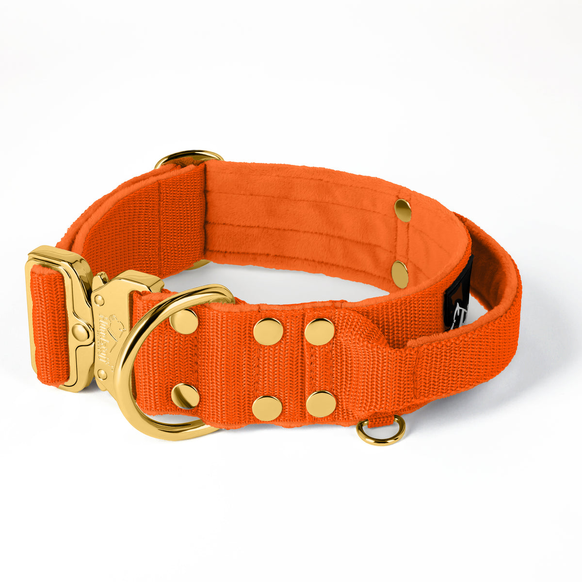 Extreme Buckle Gold Edition Orange