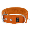 Active Orange - Breites, strapazierfähiges Halsband mit Schnalle