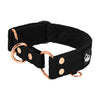 Martingale Rose Edition Schwarz - Breites, gefüttertes Halbwürgehalsband