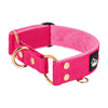 Martingale Rose Edition Pink - Breites gefüttertes Halbhalsband
