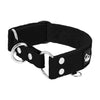 Martingale Schwarz - Breites, gefüttertes Halsband mit halber Würgefunktion