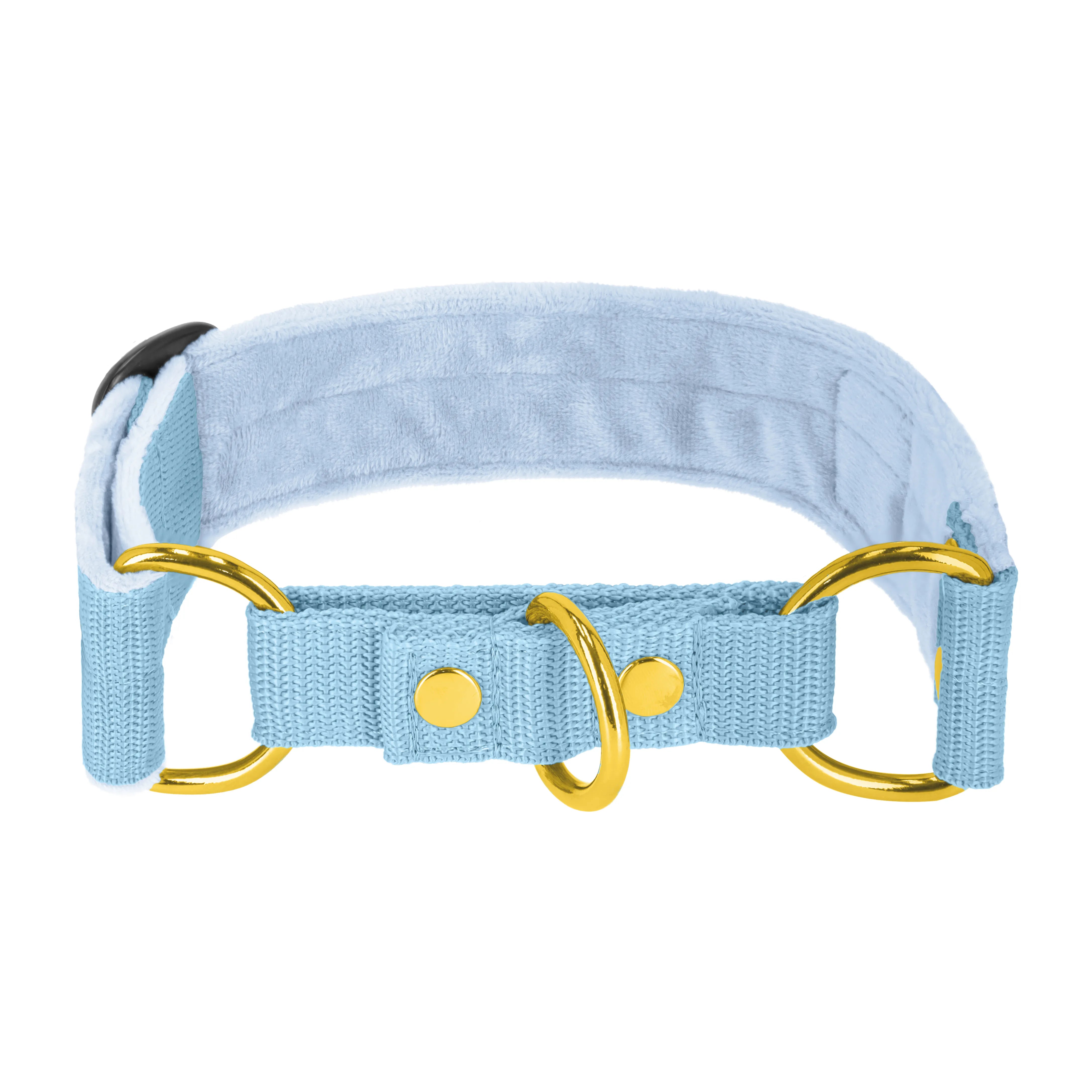 Martingale Golden Baby Blue - Breites, gefüttertes Halsband mit halber Würgefunktion