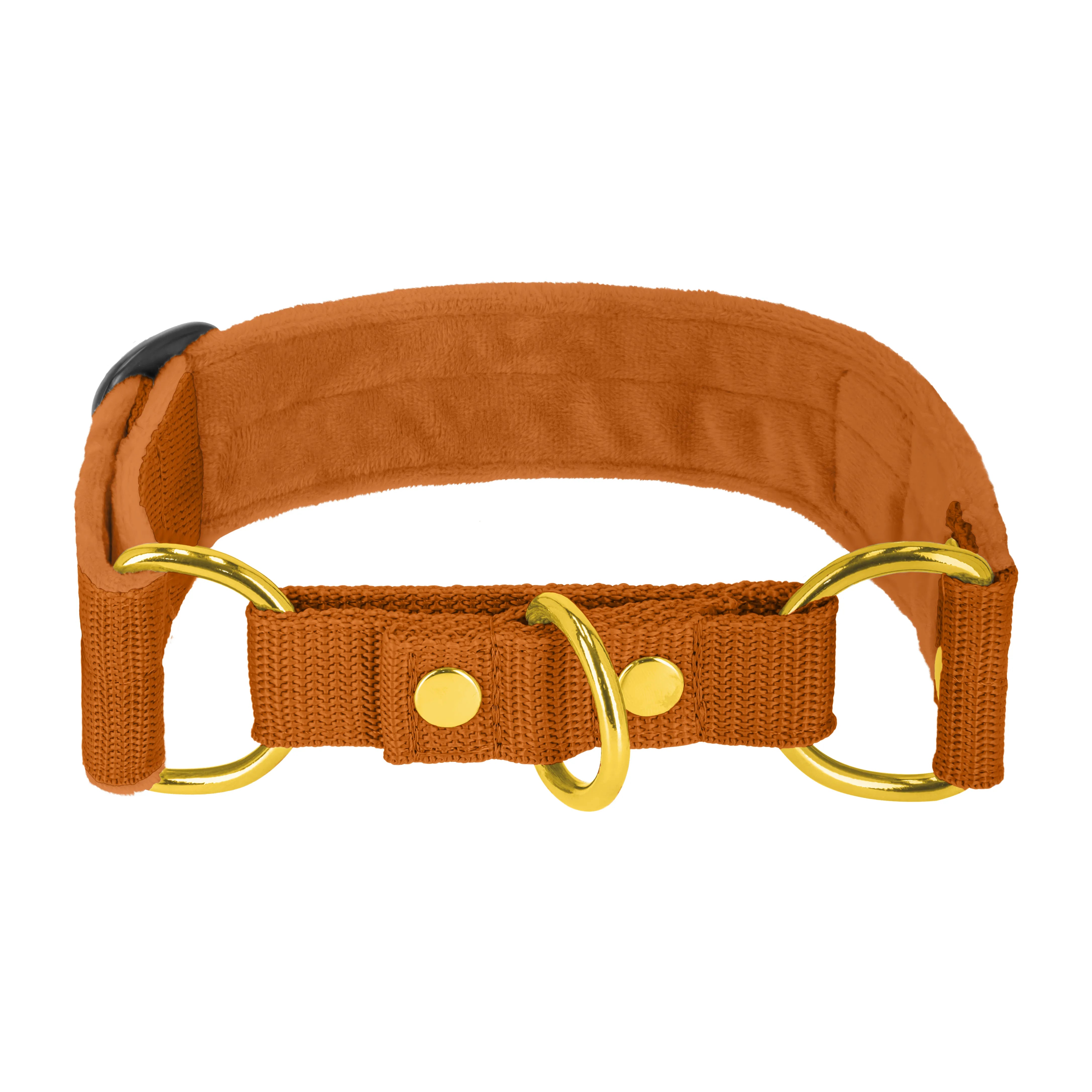 Martingale Golden Burnt Orange - Breites, gefüttertes Halbwürgehalsband