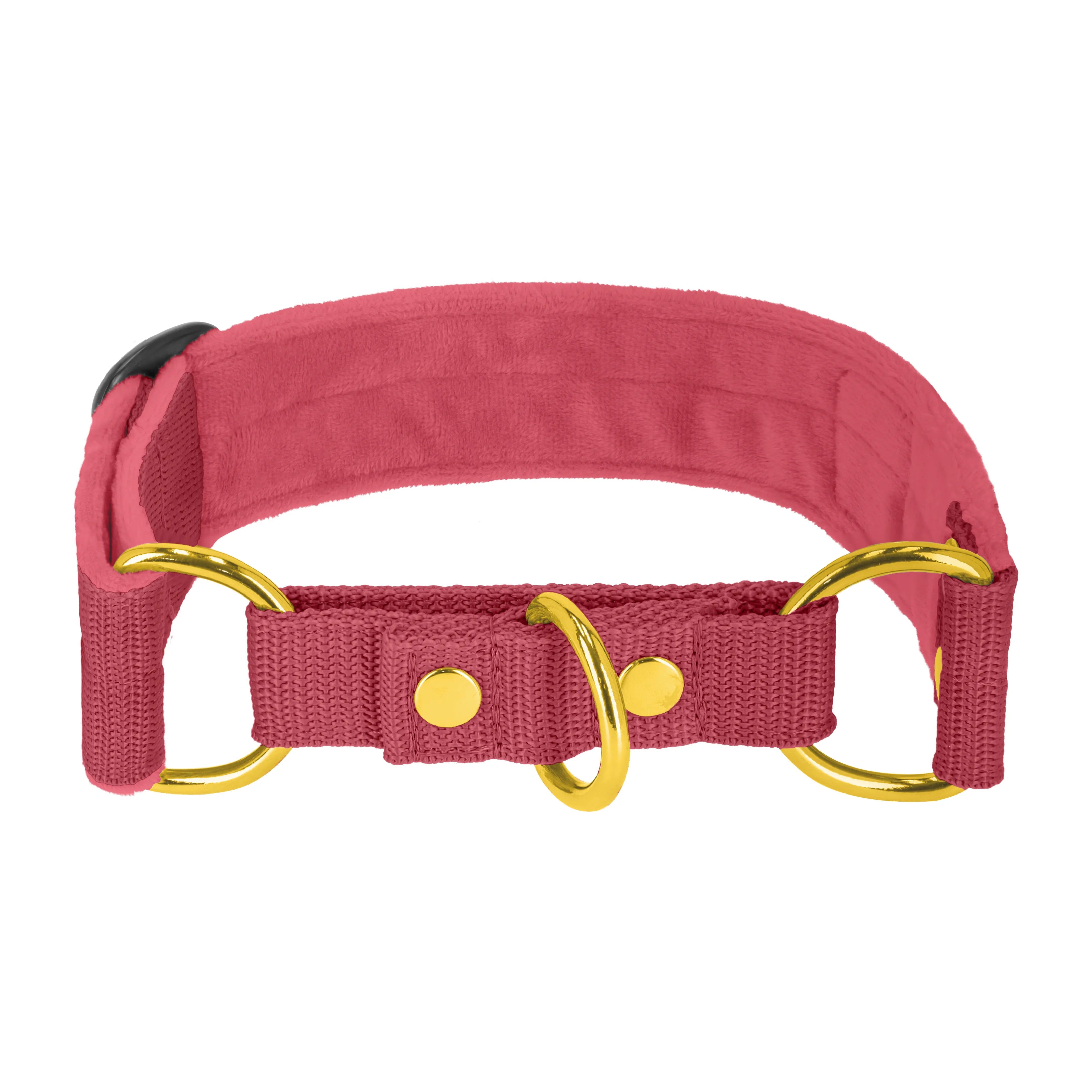 Martingale Golden Raspberry Red - Breites, gefüttertes Halsband mit halber Würgefunktion