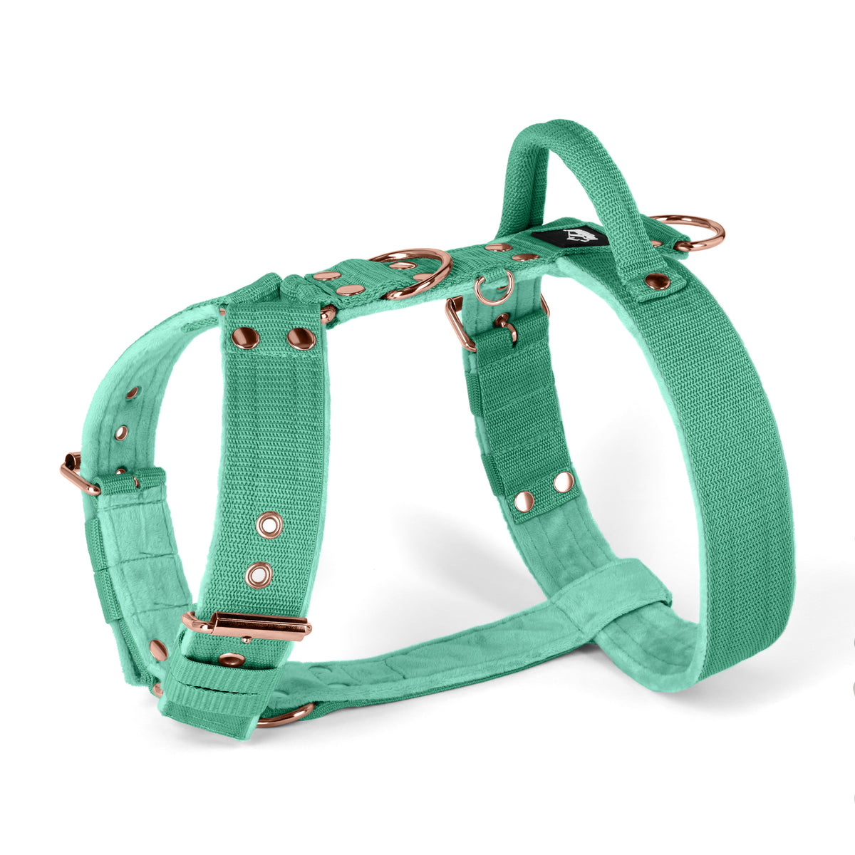 Easy Walk Rose Edition Mint