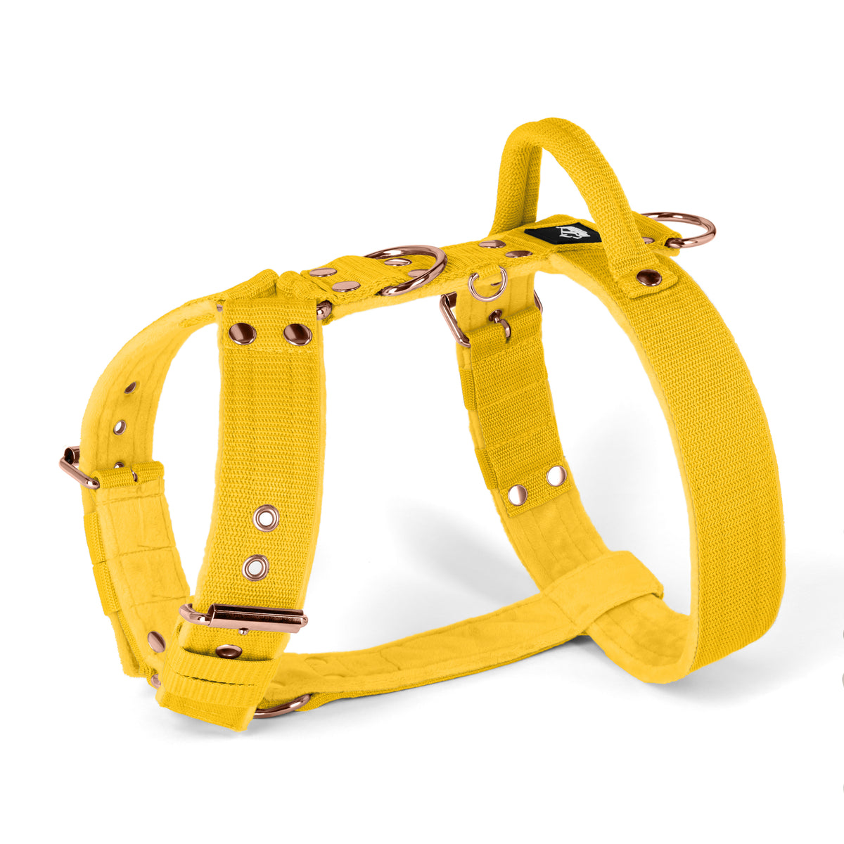 Easy Walk Rose Edition Yellow