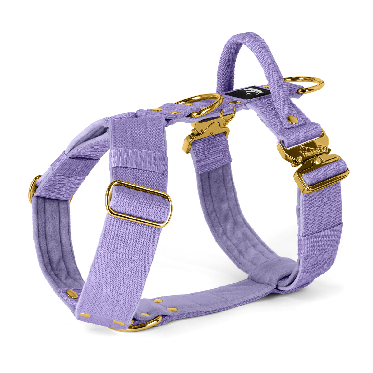 Easy Walk Extreme Gold Edition Baby Purple