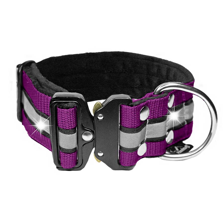 extreme buckle safe plum