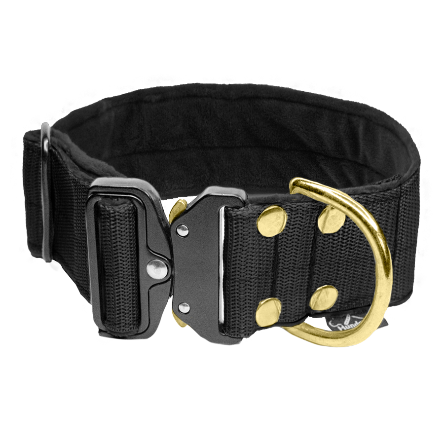 extreme buckle golden black