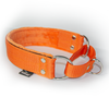 Martingale Orange - Breites, gefüttertes Halsband mit halber Würgefunktion